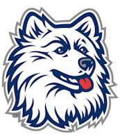 UConn_samoyed