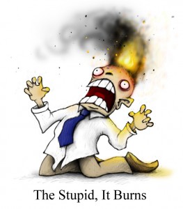 stupid_it_burns